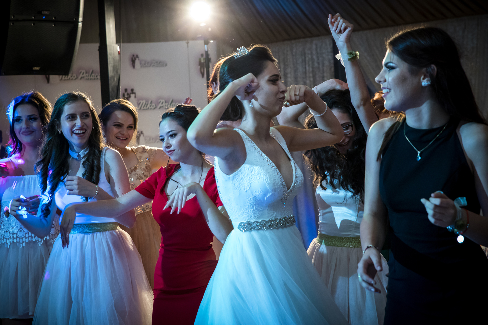 Fotograf nunta Bucuresti0113